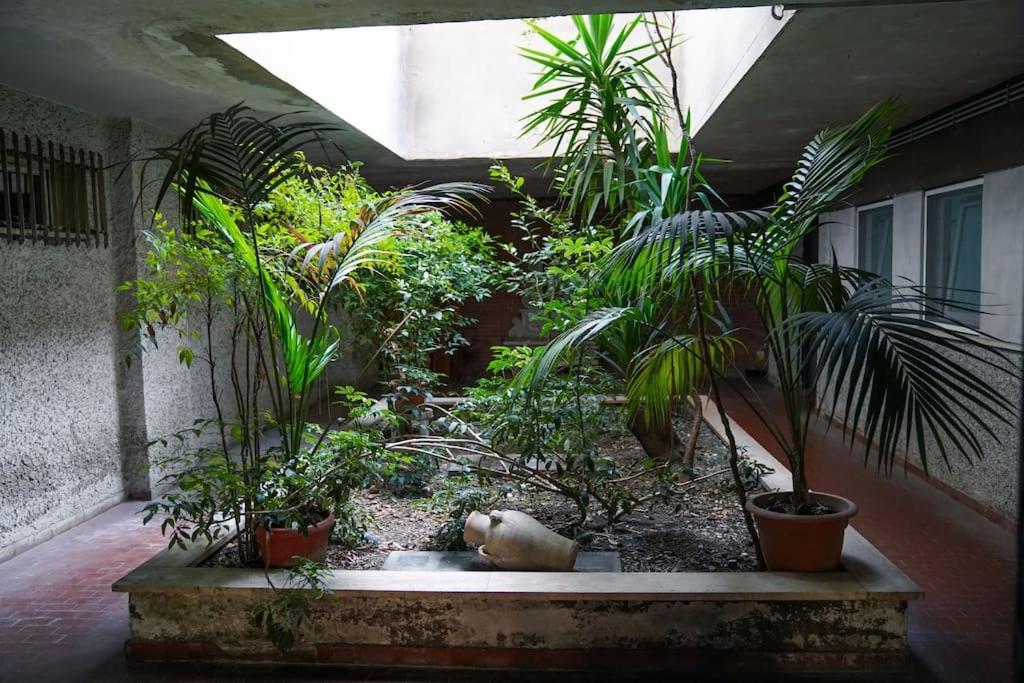 San Peter View Apartment Rome Exterior photo